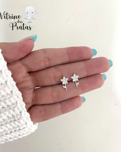 Brinco Flor Cravejada